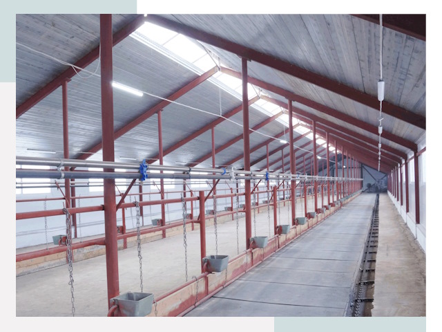 Строительство коровников в Костомукше от 612 руб.