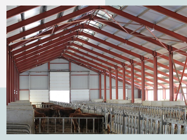 Строительство коровников в Костомукше