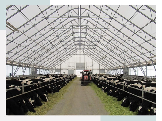 Тентовые коровники в Костомукше от 612 руб. - Надежно и доступно