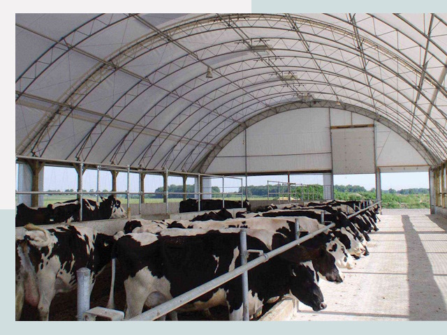 Тентовые коровники в Костомукше